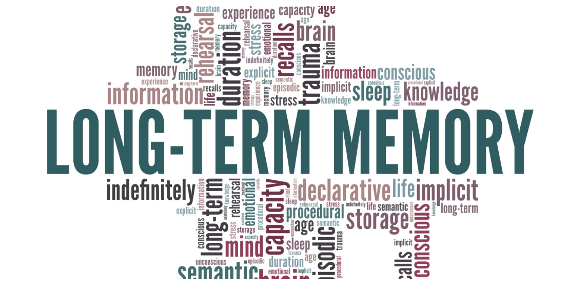 The Corporate Hippocampus: Why Memory Will Redefine Enterprise AI