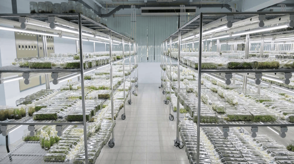 We Are Living in the Experiment